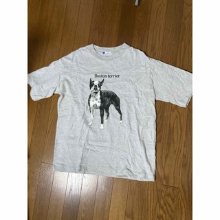 BEAUTY&YOUTH UNITED ARROWS - beauty&youth  dog print  tシャツ