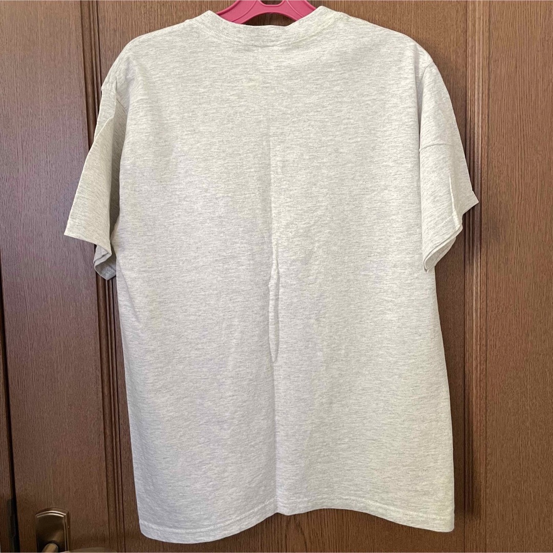 Anvil(アンビル)のanvil ルブロモリィ　レグノス　tシャツ メンズのトップス(Tシャツ/カットソー(半袖/袖なし))の商品写真