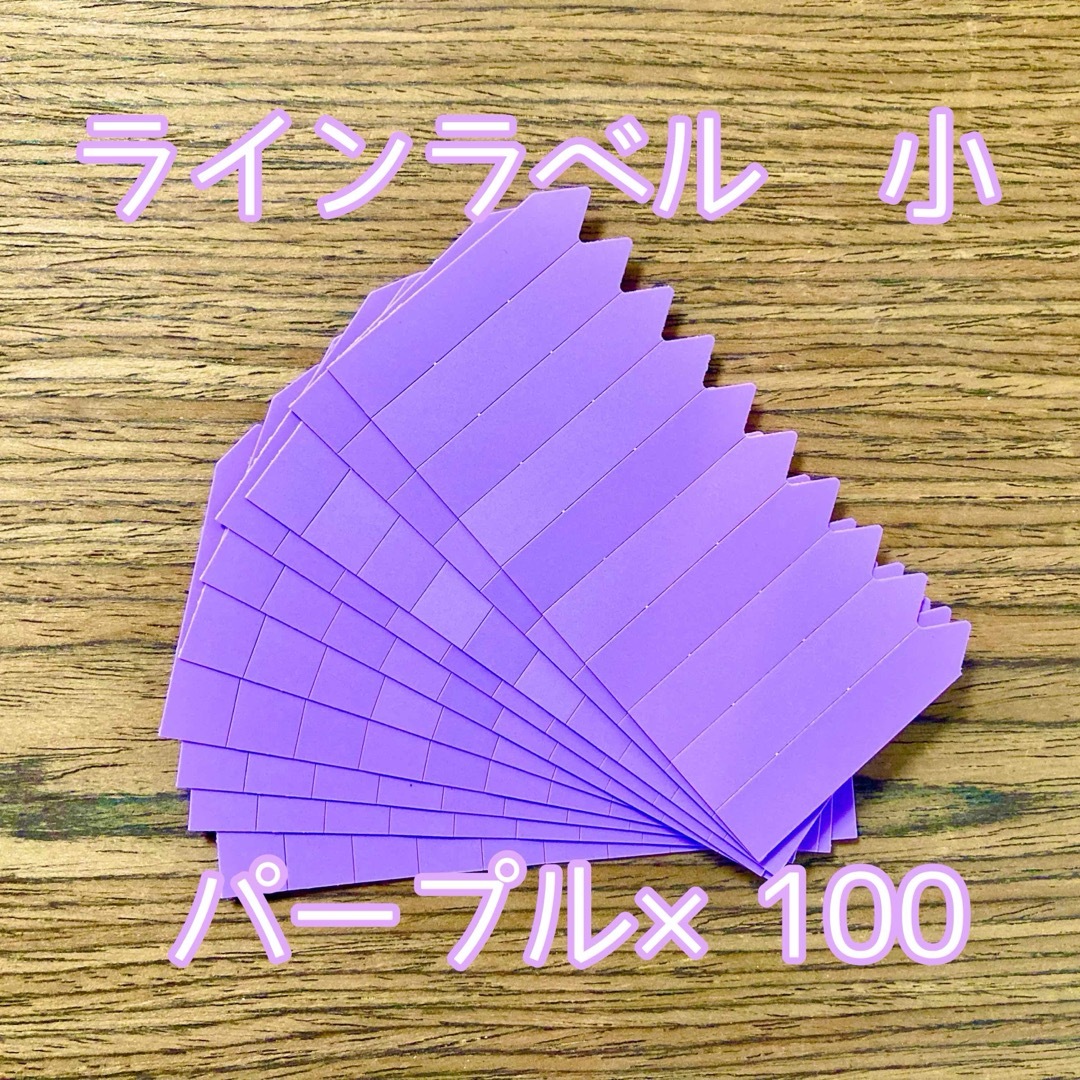 ラインラベル 小 紫 100枚 園芸カラーラベル 多肉植物 エケベリア ハンドメイドのフラワー/ガーデン(プランター)の商品写真