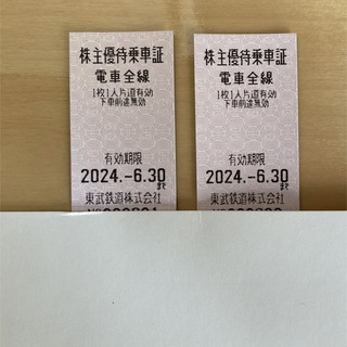 東武鉄道株主優待乗車証２枚 乗車券 有効期限2024/6/30(鉄道乗車券)