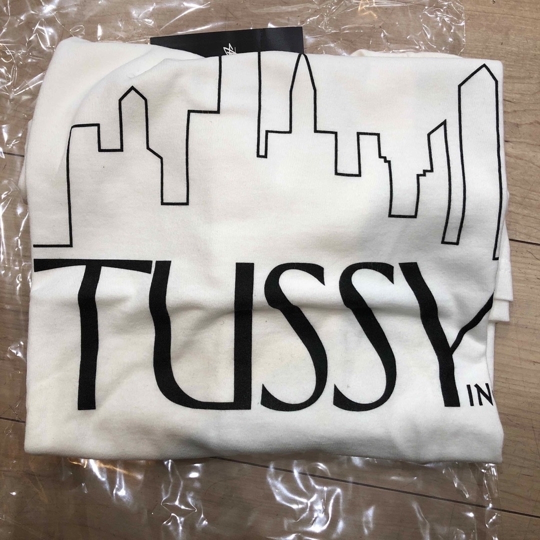 STUSSY(ステューシー)のstussy スカイラインTシャツ メンズのトップス(Tシャツ/カットソー(半袖/袖なし))の商品写真