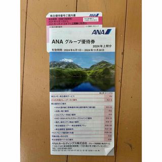 エーエヌエー(ゼンニッポンクウユ)(ANA(全日本空輸))のANA株主優待券(その他)