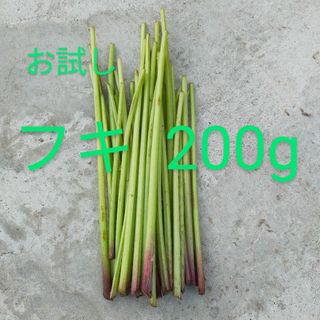 ふき　200g(野菜)