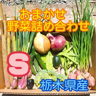 【数量・期間限定】おまかせ野菜詰め合わせBOX【S】