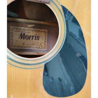 モーリス(MORRIS)のピックガード(アコースティックギター)