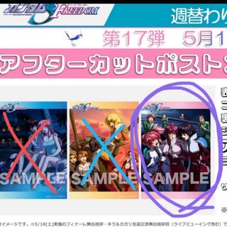 ガンダムSEED フリーダム　映画　特典　ポストカード　シンルナ
