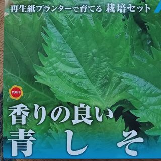 再生紙プランターで育てる栽培セット(野菜)