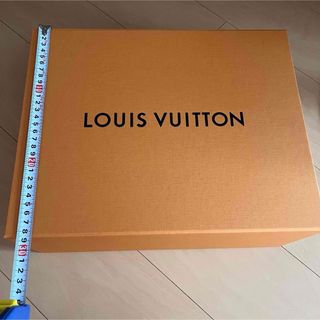 ルイヴィトン(LOUIS VUITTON)のLOUIS VUITTON(ショップ袋)