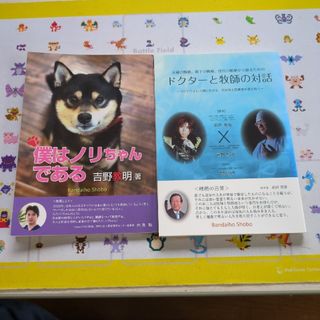 僕はノリちゃんである　ドクターと牧師の対話　中古(文学/小説)