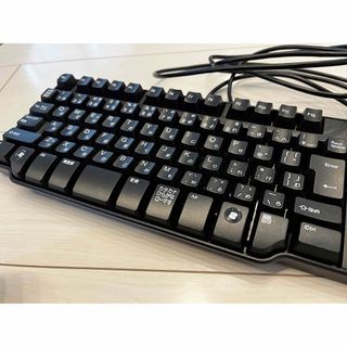 DELL - 【極美品】DELL メンブレン式キーボード 109キー USB ( L100 )