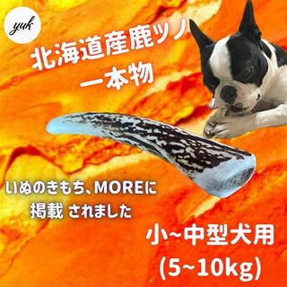 【24時間以内発送】小〜中型犬用　一本物　先端　北海道産エゾ鹿の角　犬のおもちゃ(犬)