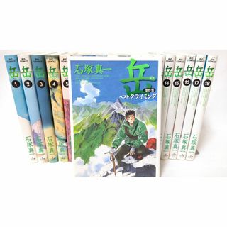 岳 ガク 全巻　全18巻+「岳　ベストクライミング」　コミックセット 石塚真一(全巻セット)