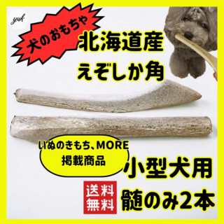 【送料無料】小型犬用　髄のみ　2本セット　北海道産エゾ鹿の角　犬のおもちゃ(犬)