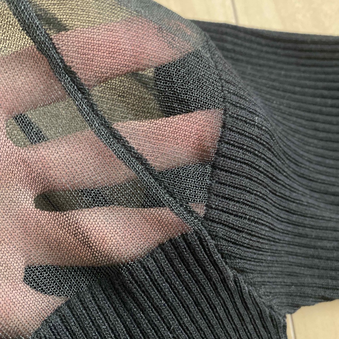 ANAP(アナップ)の綺麗ANAPアナップ黒シースルー半袖タートルネックトップスリブ素材ストレッチフリ レディースのトップス(カットソー(半袖/袖なし))の商品写真