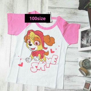 パウパトロール 半袖 Tシャツ 100 スカイbig(Tシャツ/カットソー)