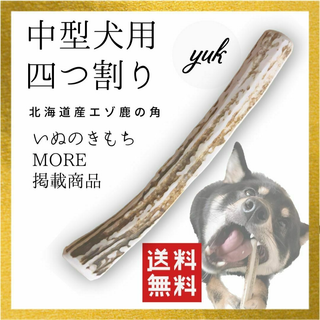 【淡路島玉ねぎ*Green様専用】中型犬用　四つ割り　エゾ鹿の角　犬のおもちゃ(犬)