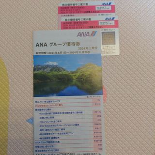 ANA株主優待券2枚+ANAグループ優待券1冊(航空券)