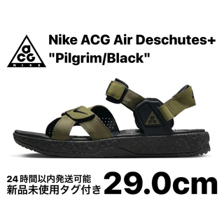 ナイキ(NIKE)のNike ACG Air Deschutes+ Pilgrim/Black 29(サンダル)