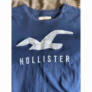 Hollister - ホリスターTシャツ超美品Mサイズ