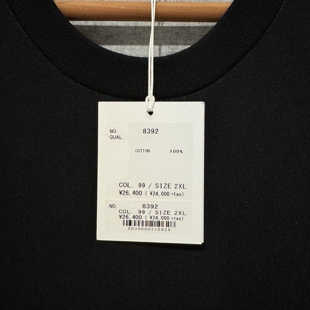 BRUNABOINNE(ブルーナボイン)のブルーナボイン BRUNABOINNE すりはがしTシャツ カットソー 2XL メンズのトップス(Tシャツ/カットソー(半袖/袖なし))の商品写真