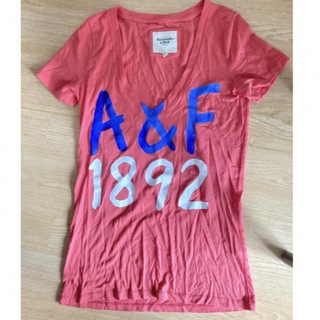 Abercrombie&Fitch - abercrombie and fitch Vネック Tシャツ (NY購入)