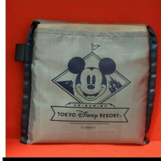 Disney - 東京ディズニーリゾートエコバッグ
