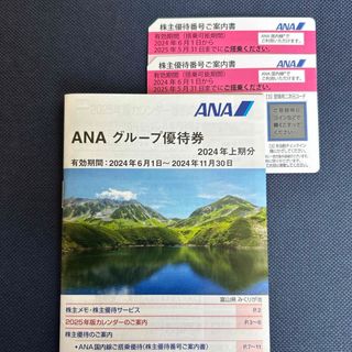 エーエヌエー(ゼンニッポンクウユ)(ANA(全日本空輸))のANA(全日空) グループ優待券と株主優待券(その他)