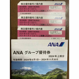 ANA株主優待券3枚(その他)