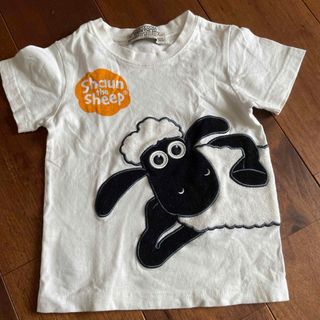 ひつじのショーン　Tシャツ(Tシャツ/カットソー)