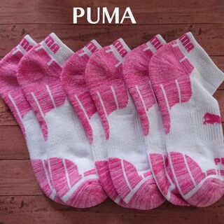 プーマ(PUMA)のPUMA　靴下　プーマ　3足セット(ソックス)