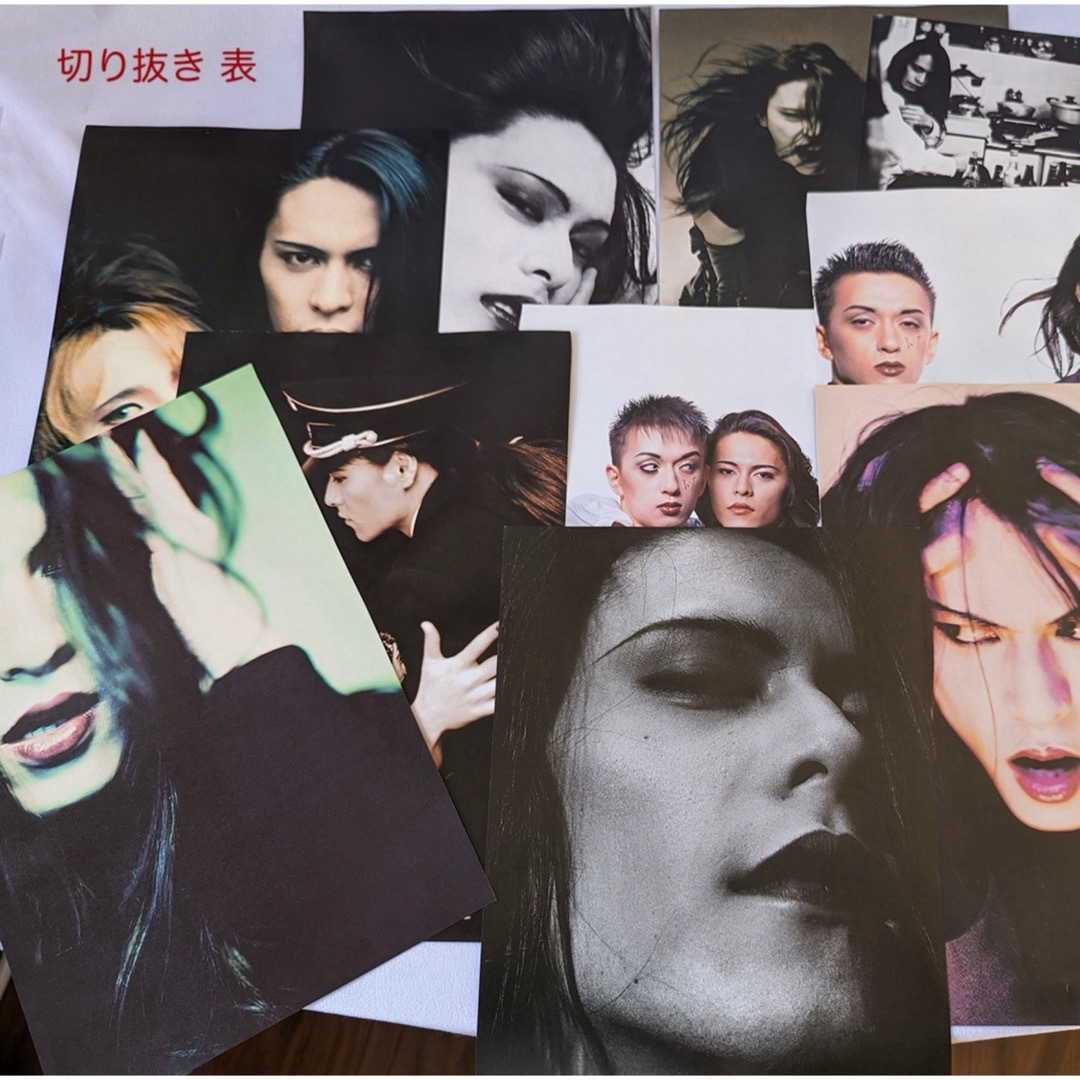 BUCK-TICK 初回限定版DVD 櫻井敦司切り抜き他 BUCK-TICK 初回限定版DVD 櫻井敦司切り抜き他