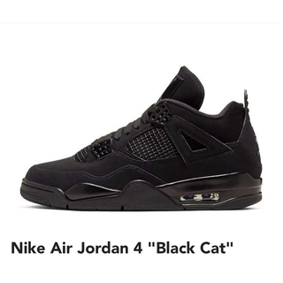 Nike air jordan blackcat ブラックキャット(スニーカー)