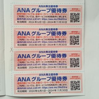 エーエヌエー(ゼンニッポンクウユ)(ANA(全日本空輸))のANAグループ優待券×4枚(その他)