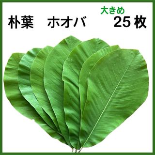 天然 無農薬 朴葉 生朴葉 青朴葉 ホオバ ホオの葉 大きめ 25枚(その他)