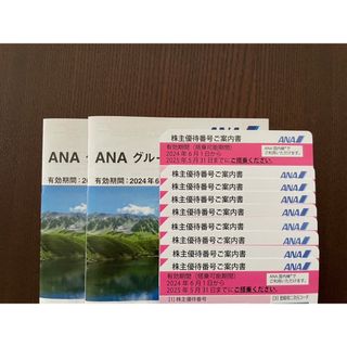 エーエヌエー(ゼンニッポンクウユ)(ANA(全日本空輸))の全日本空輸　ANA 株主優待券　9枚(その他)