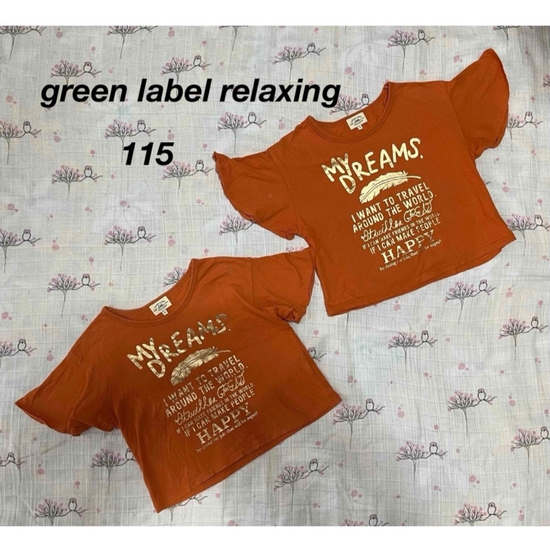 UNITED ARROWS green label relaxing(ユナイテッドアローズグリーンレーベルリラクシング)の【2枚セット】green label relaxing Tシャツ 115 キッズ/ベビー/マタニティのキッズ服女の子用(90cm~)(Tシャツ/カットソー)の商品写真