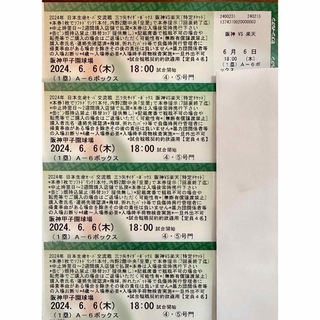 阪神タイガース - 6/6(木) 阪神vs楽天　1塁側ボックスシート