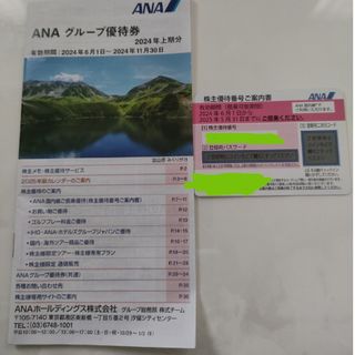 エーエヌエー(ゼンニッポンクウユ)(ANA(全日本空輸))のＡＮＡ株主優待(その他)