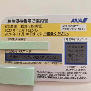 エーエヌエー(ゼンニッポンクウユ)(ANA(全日本空輸))のANA (全日本空輸)株主優待券 1枚 2024年11月30日まで(その他)