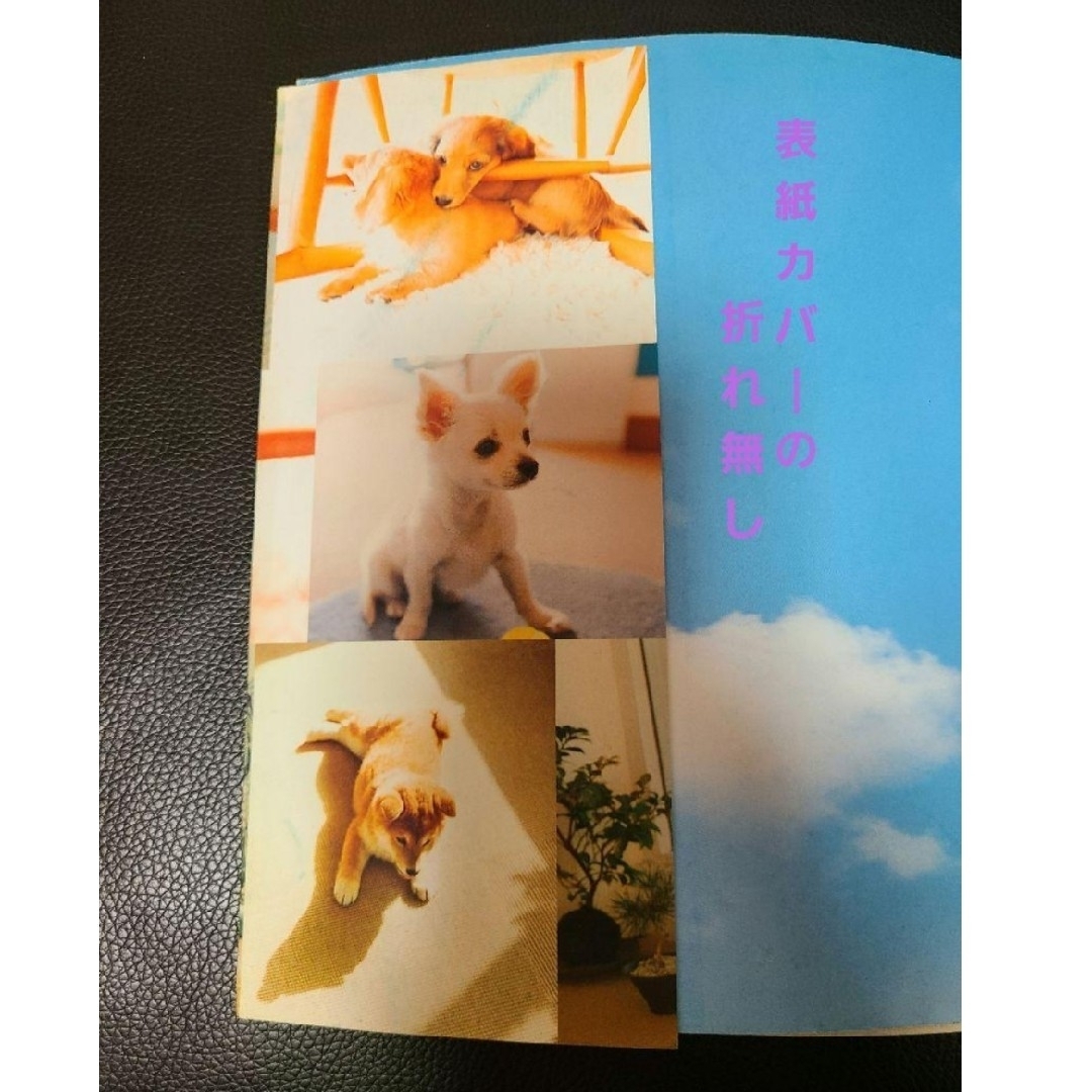 ニンテンドーDS(ニンテンドーDS)のニンテンドッグス 子犬とはじめる新生活 任天堂公式ガイドブック [攻略本] エンタメ/ホビーの雑誌(ゲーム)の商品写真