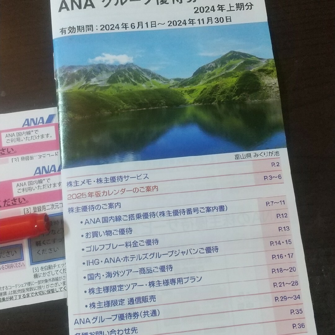 ANA 株主優待券2枚+冊子 チケットの優待券/割引券(その他)の商品写真