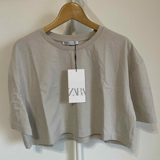 ザラ(ZARA)の新品　ZARA Sサイズ(Tシャツ/カットソー(半袖/袖なし))