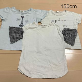 pom ponette - branshes  pomponette 女の子　Tシャツ　150 まとめ売り