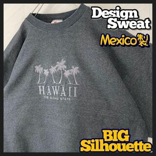 メキシコ製 オーバーサイズ スウェット 刺繍ロゴ ハワイ トレーナー 太アーム(スウェット)