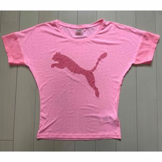 PUMA - PUMA トレーニングウェア