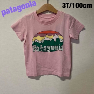 patagonia Tシャツ 3T 100cm