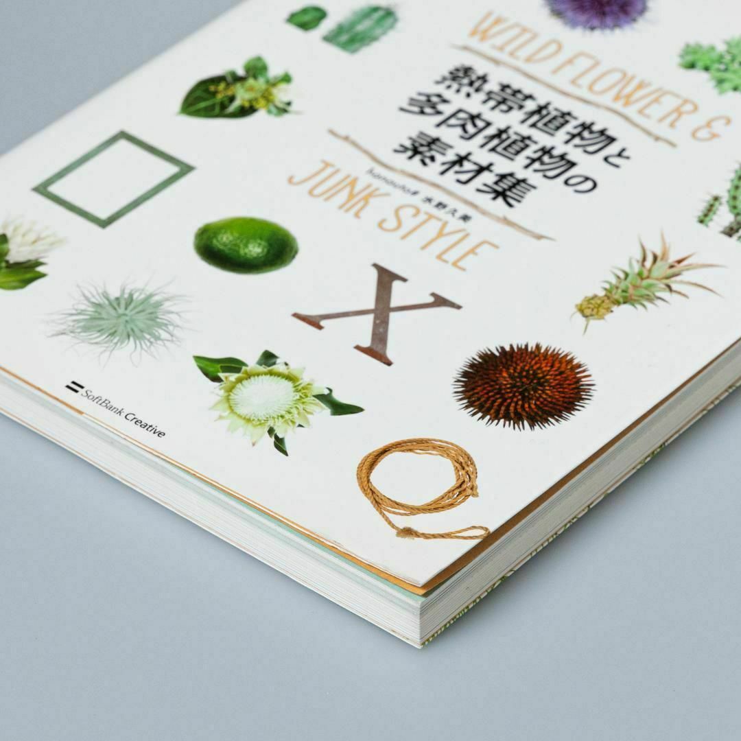 熱帯植物と多肉植物の素材集 : WILD FLOWER & JUNK STYLE エンタメ/ホビーの本(アート/エンタメ)の商品写真