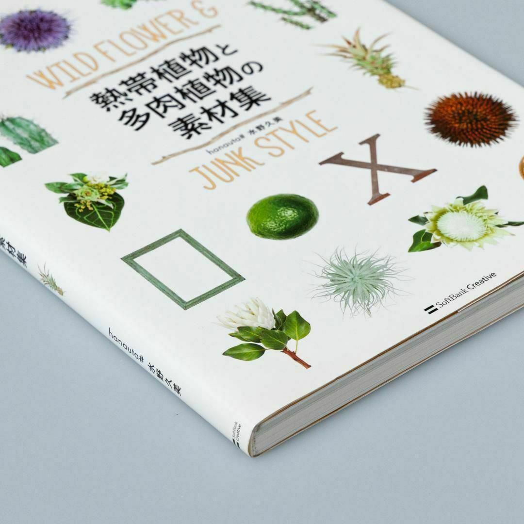 熱帯植物と多肉植物の素材集 : WILD FLOWER & JUNK STYLE エンタメ/ホビーの本(アート/エンタメ)の商品写真