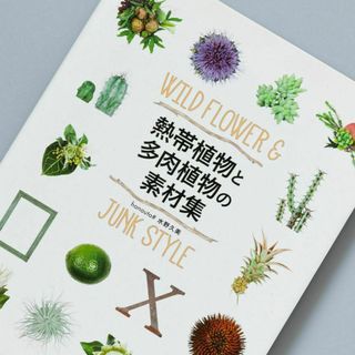 熱帯植物と多肉植物の素材集 : WILD FLOWER & JUNK STYLE(アート/エンタメ)