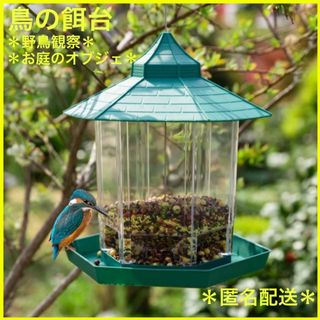 新品 バードフィーダー 鳥の餌台 ペット 餌箱 野鳥観察 小鳥 庭 グリーン (鳥)